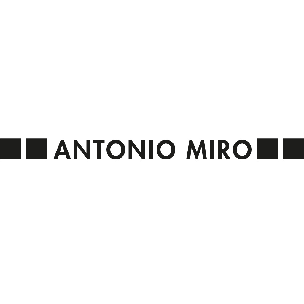 Balenciaga Antonio Miro